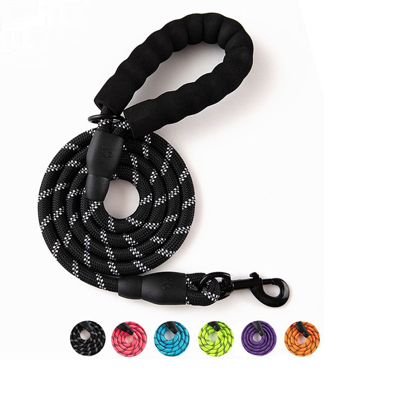 Premium Quality Nylon Leash - Pawfection