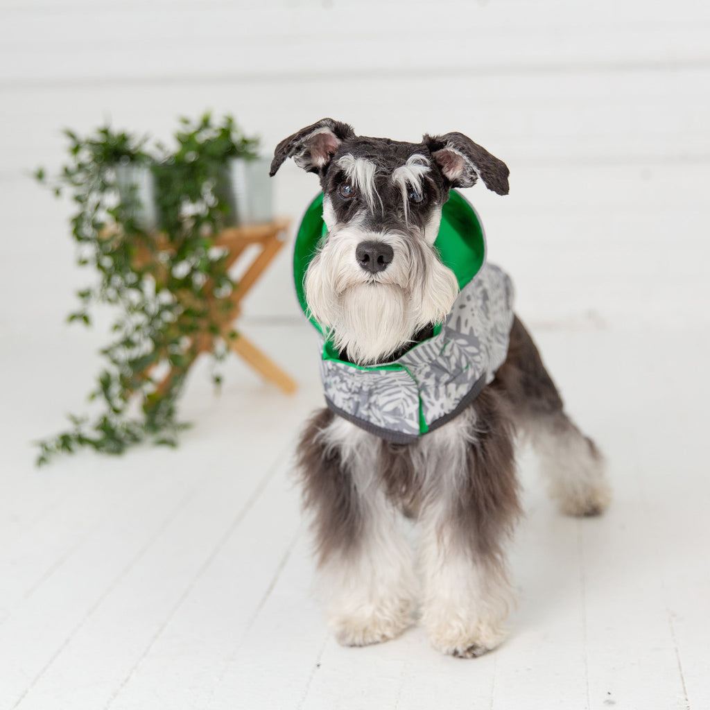 Reversible Elasto-Fit Raincoat - Green - Pawfection