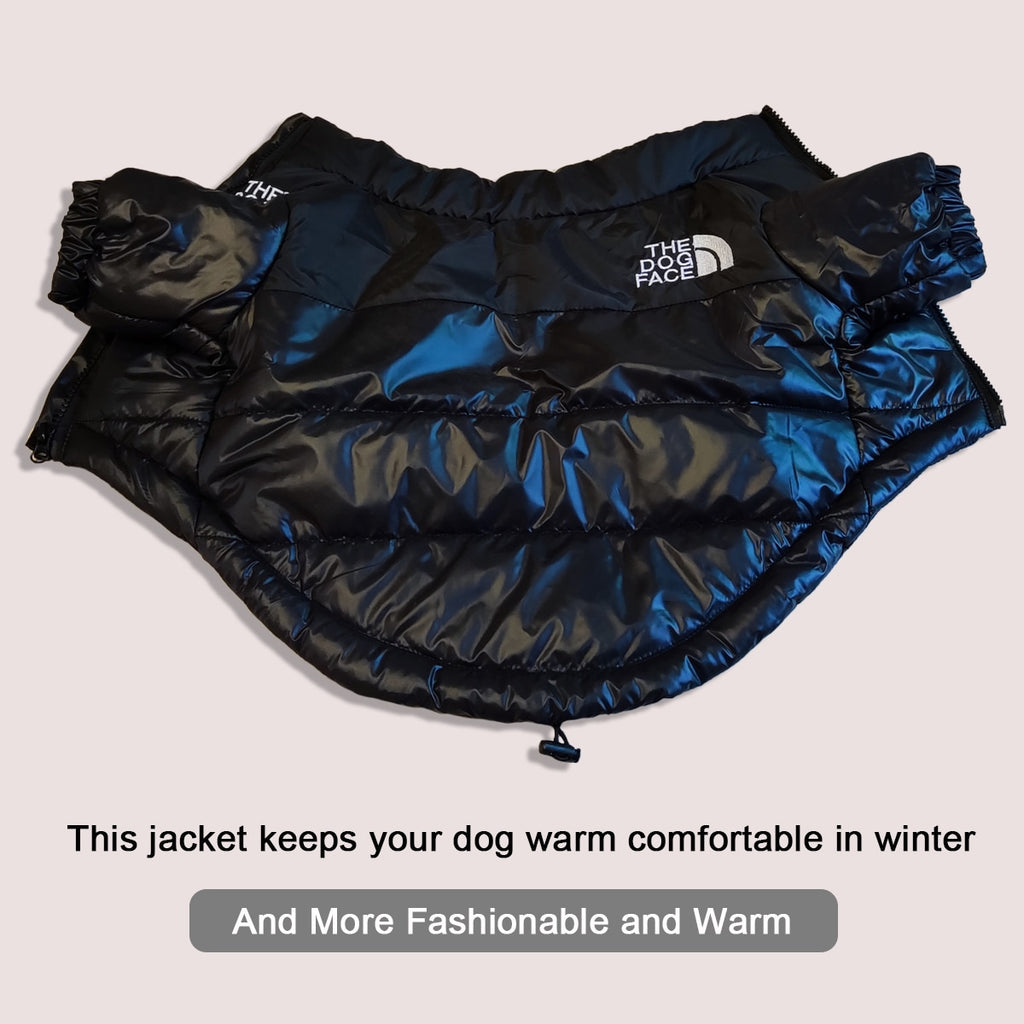 Windproof Reflective Dog Jacket - Pawfection