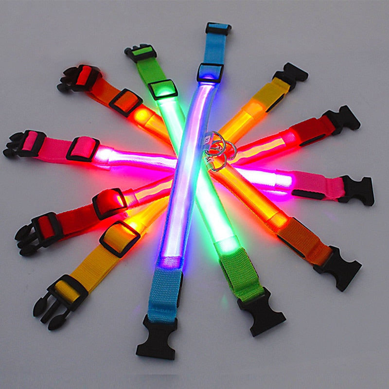 LED Glowing Dog Collar - Pawfection