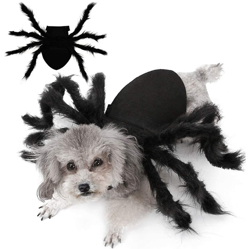 Spider Costume for Pets - Pawfection