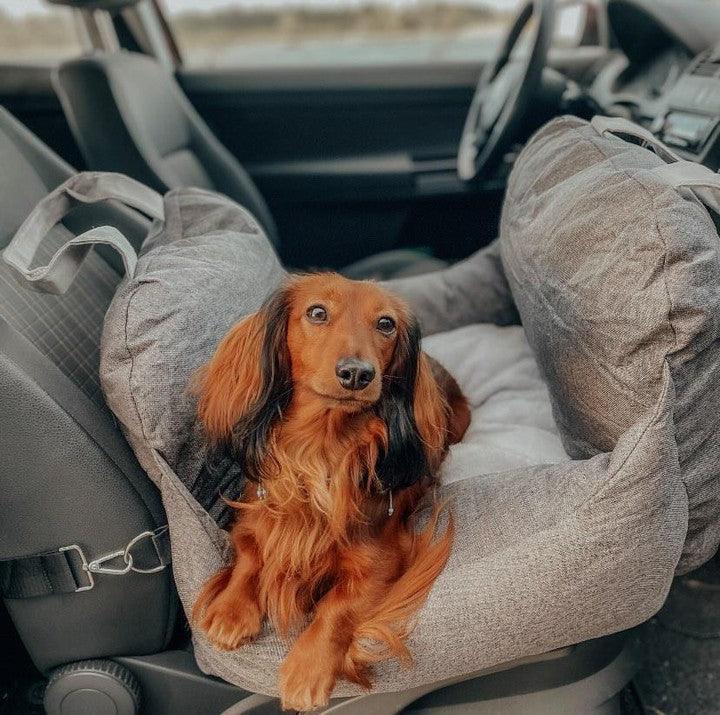 Portable Dog Bed - Pawfection