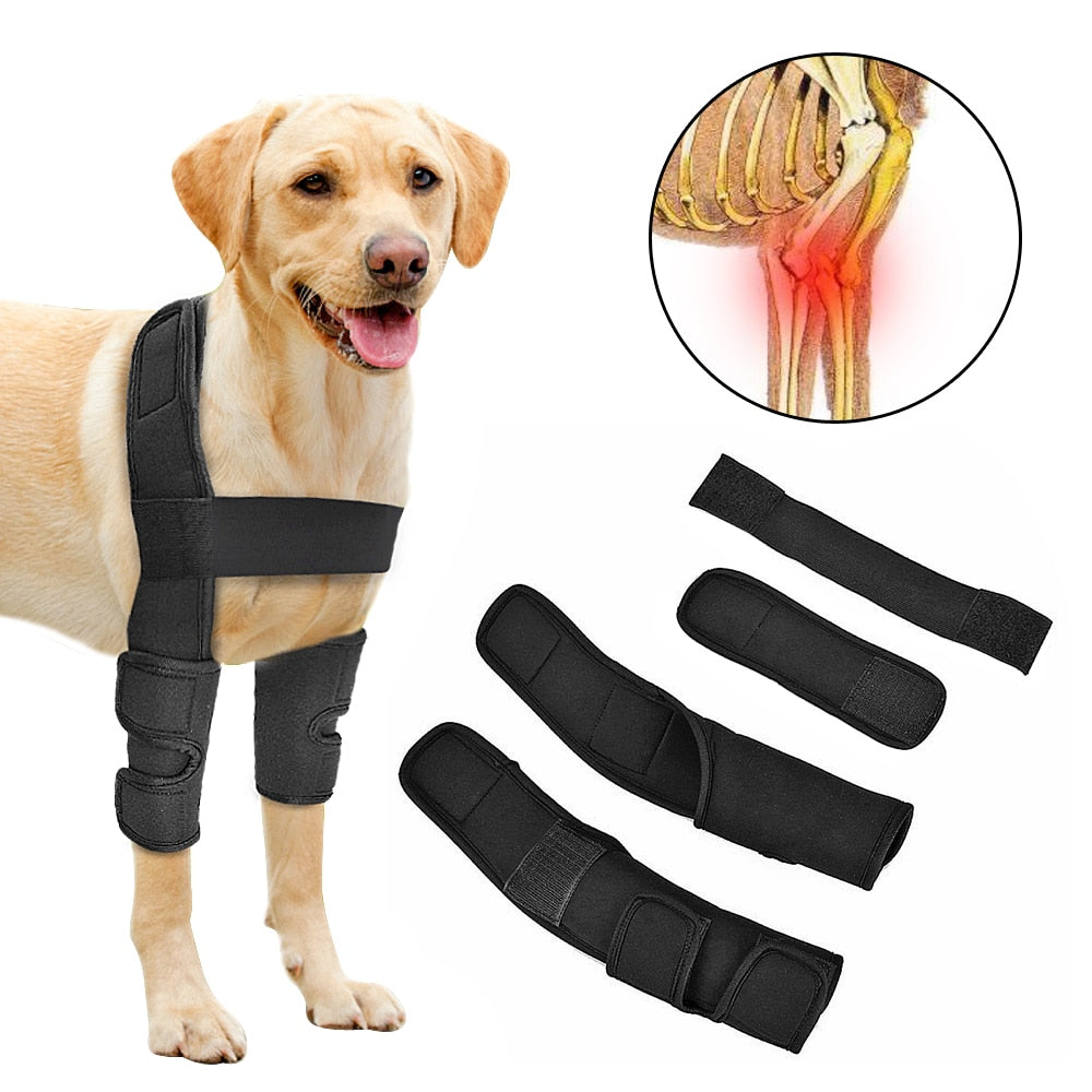 Pet Leg Support - Pawfection