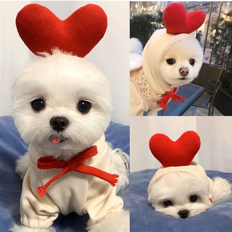 Fruit Pet Coat Hoodies - Pawfection