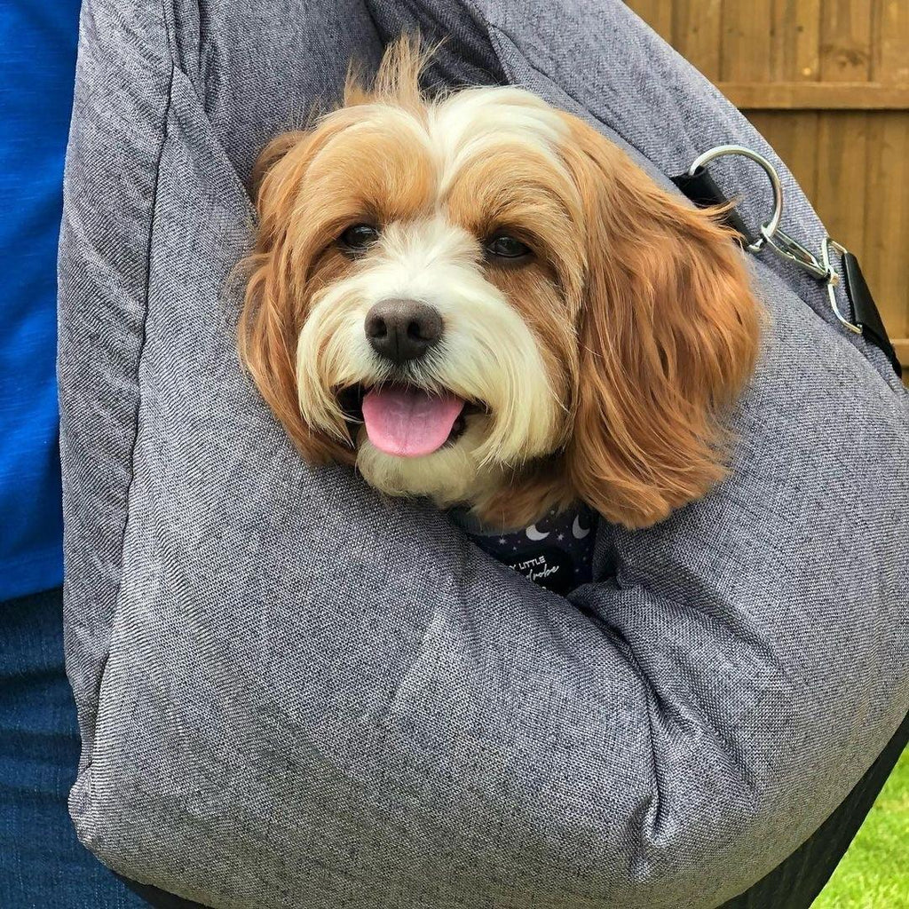 Portable Dog Bed - Pawfection