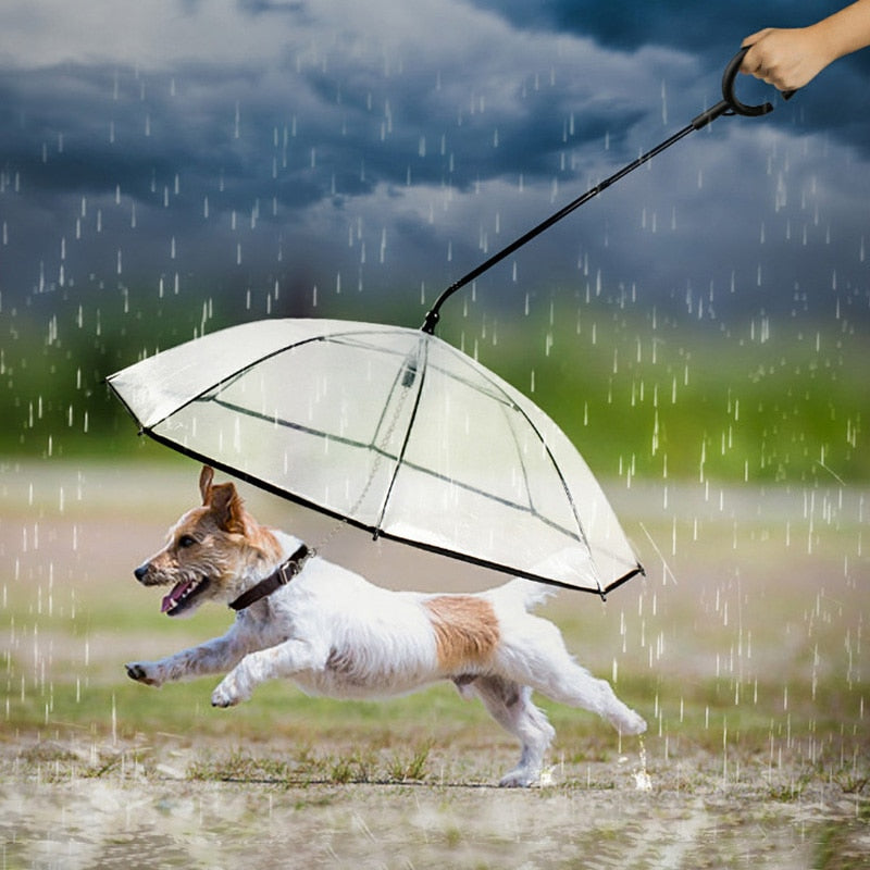 Pet Transparent Umbrella - Pawfection