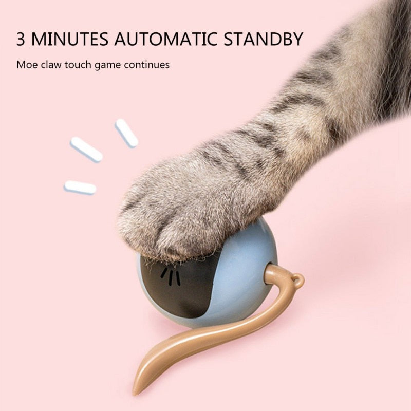 Automatic Self Rotating Cat Toy - Pawfection