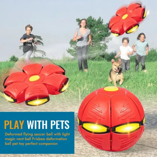 Pet Flying Saucer Ball - Pawfection