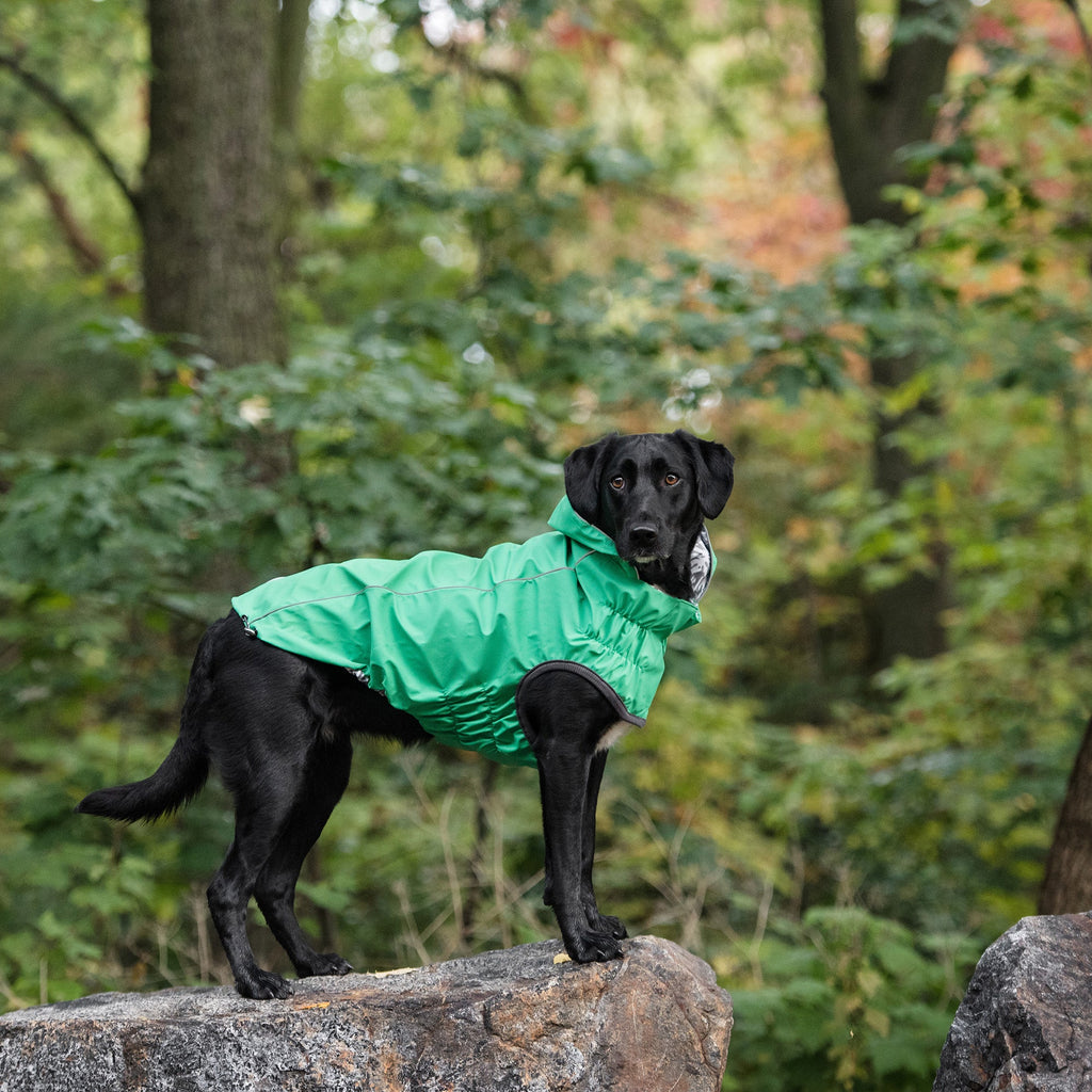 Reversible Elasto-Fit Raincoat - Green - Pawfection