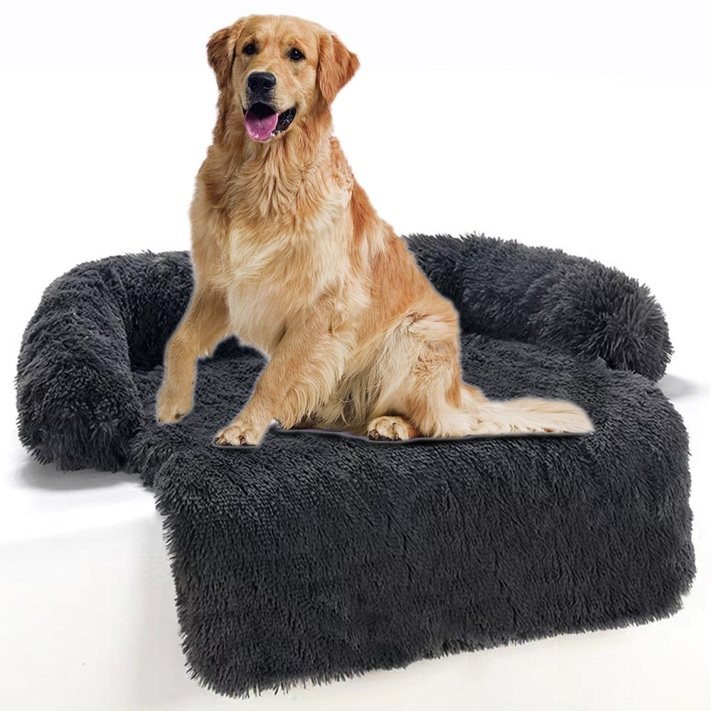 Dog Bed Cushion - Pawfection