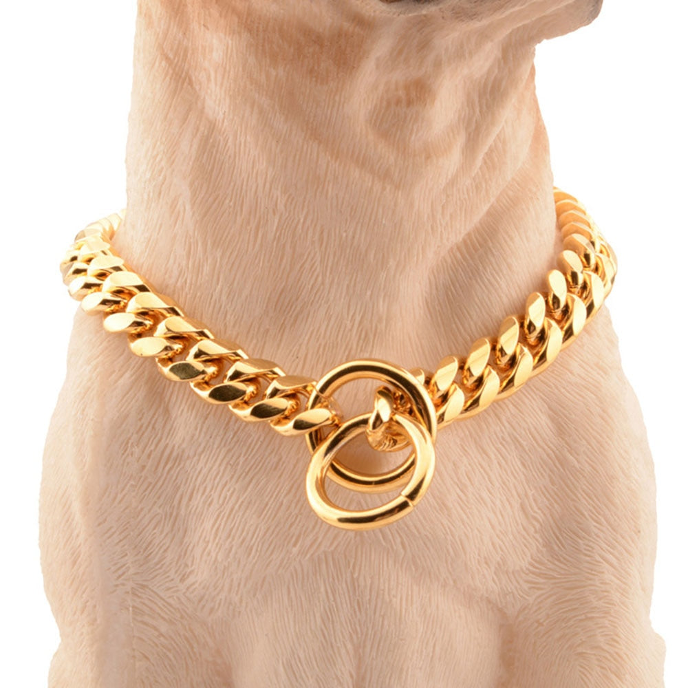 Gold Link Chain Collar for Dogs - Pawfection