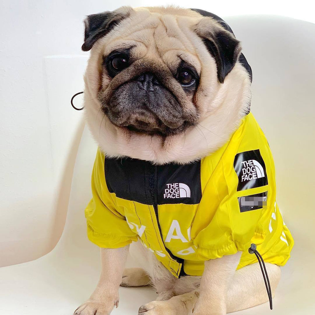 Waterproof Windbreaker - Pawfection