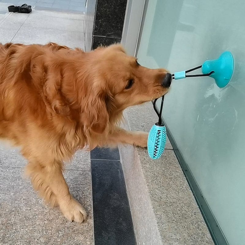 Silicone Suction Cup Dog Toy - Pawfection