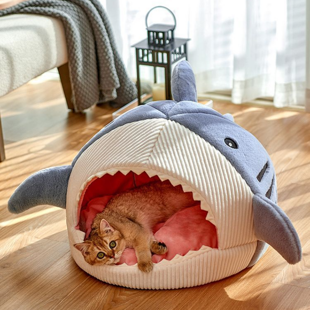 The Shark Pet Bed - Pawfection