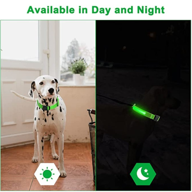 LED Glowing Dog Collar - Pawfection