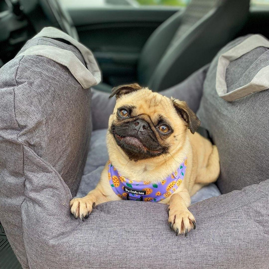 Portable Dog Bed - Pawfection