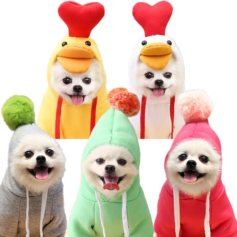 Fruit Pet Coat Hoodies - Pawfection