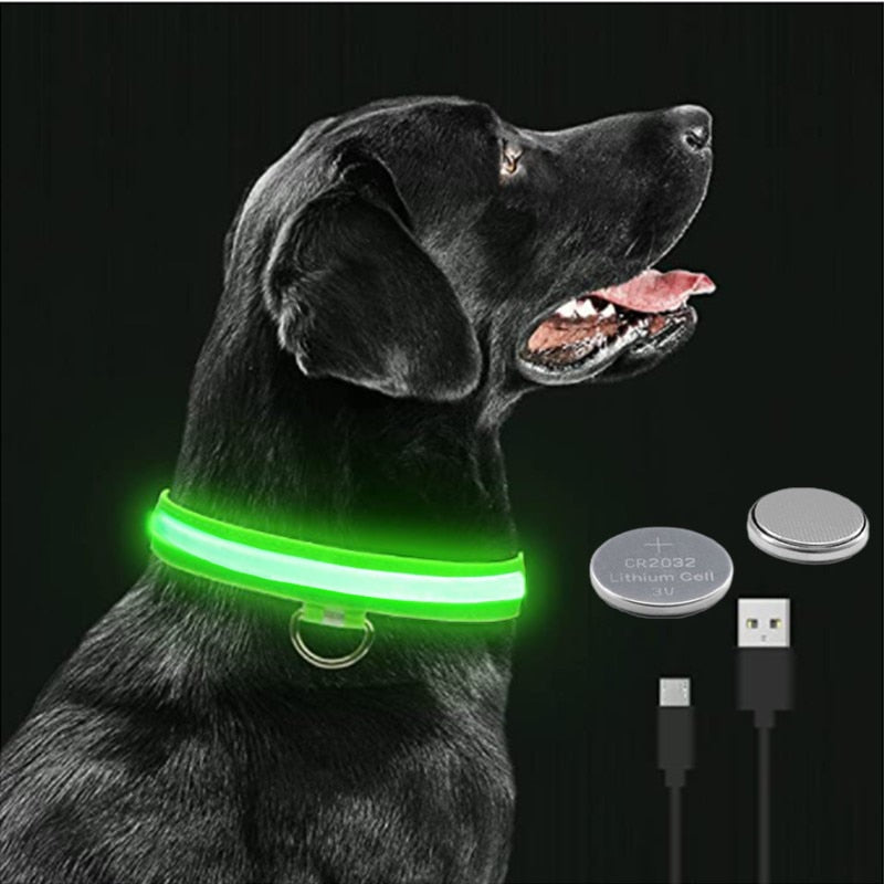 LED Glowing Dog Collar - Pawfection