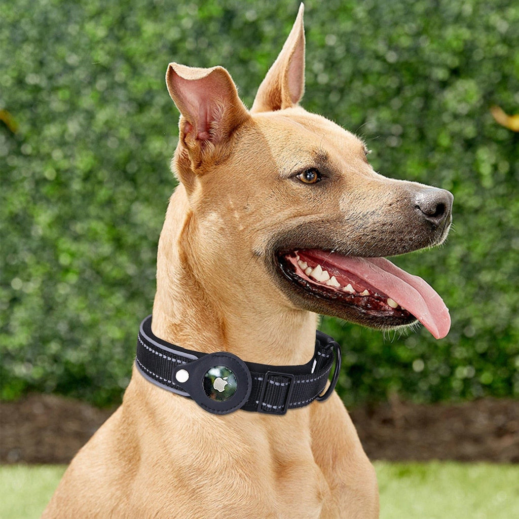 Airtag Dog Collar - Pawfection