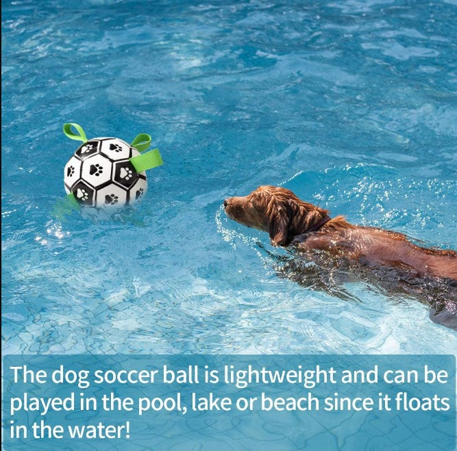 Interactive Dog Football - Pawfection