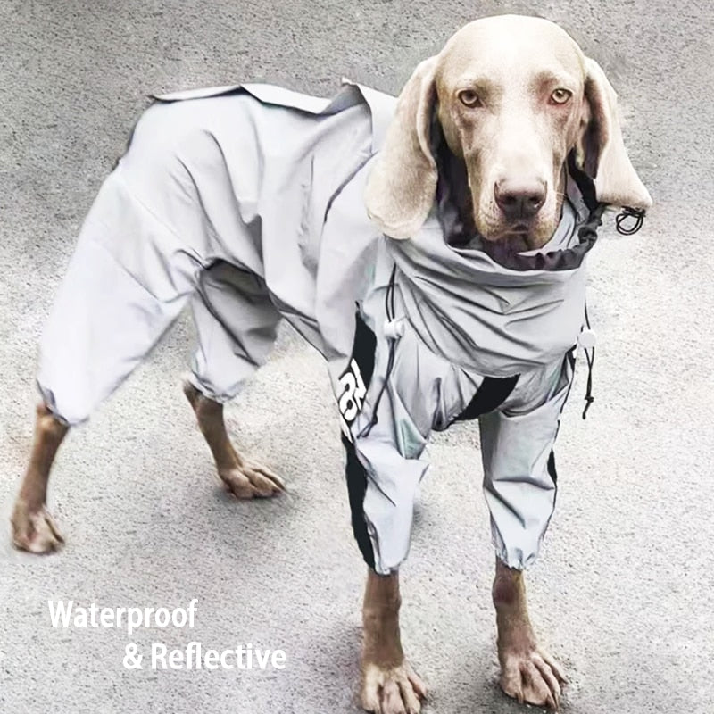 Reflective Dog Raincoat - Pawfection