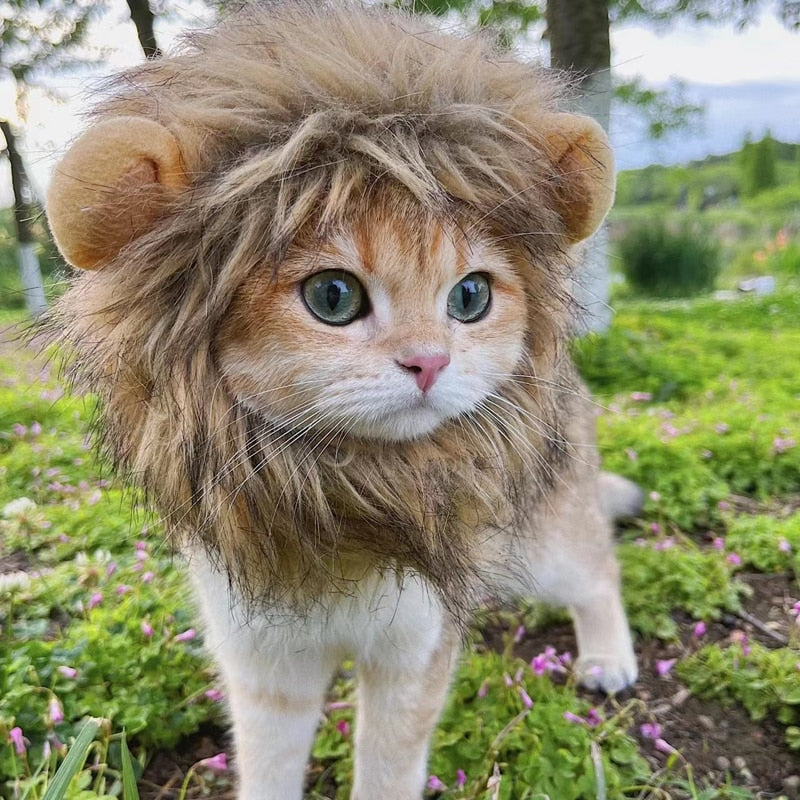 Lion Mane Cat Costume - Pawfection