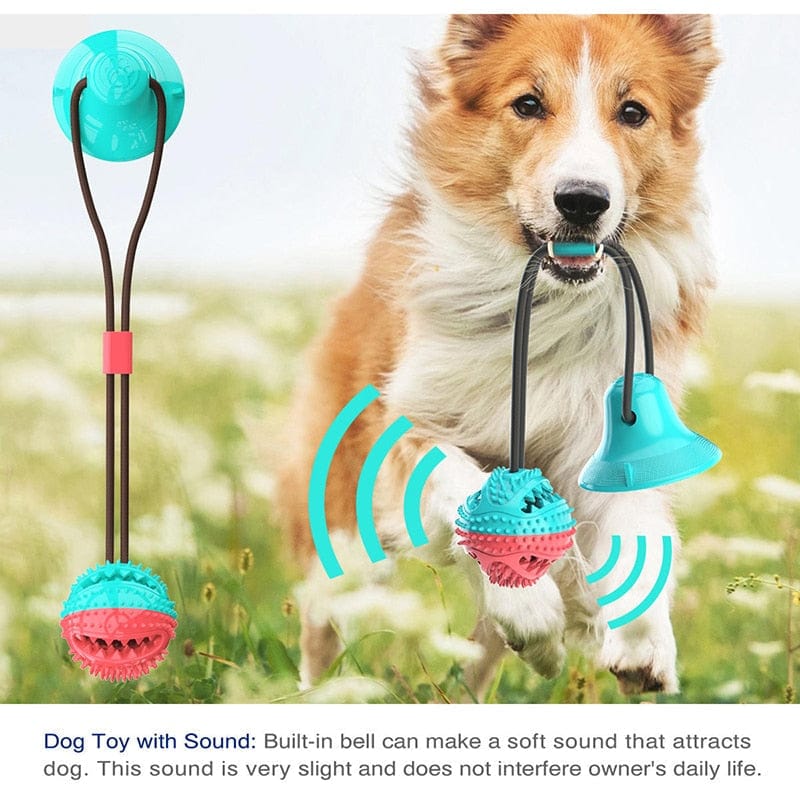 Silicone Suction Cup Dog Toy - Pawfection