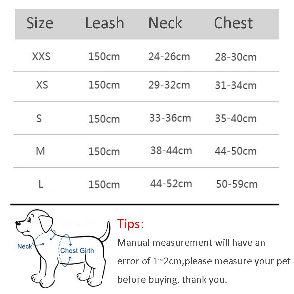 Harness & Leash Set for Small Dogs - Pawfection