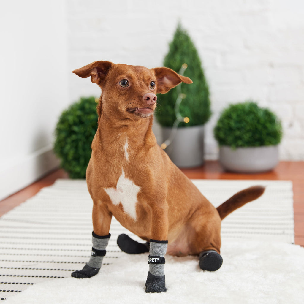 All Terrain Boots - Charcoal - Pawfection