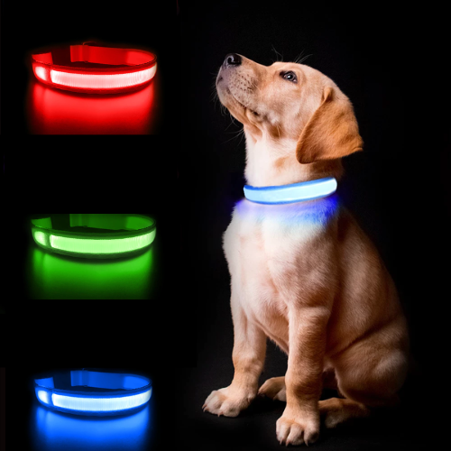 Luminous AirTag Collar - Pawfection